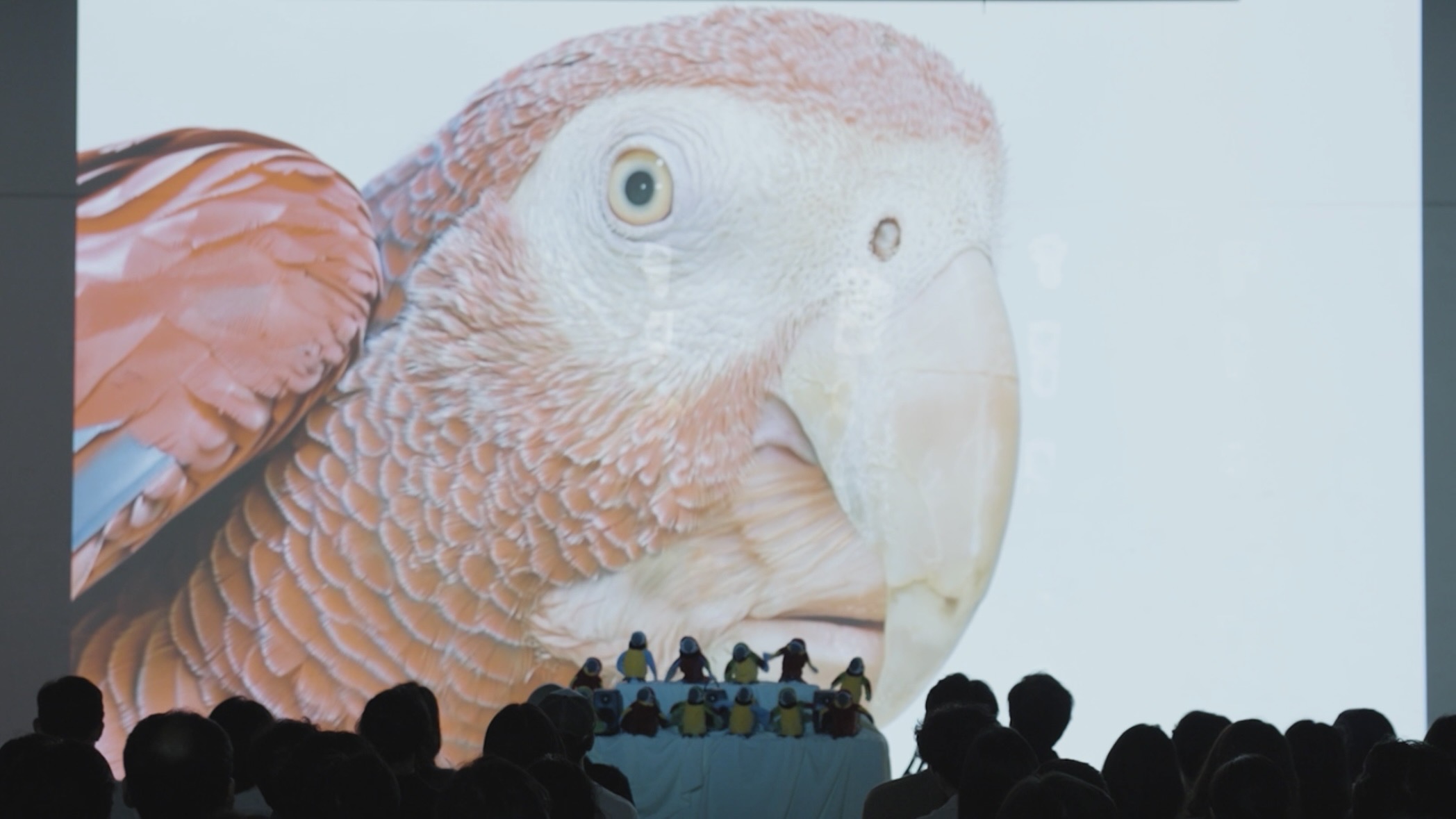 Psittacus Protocol