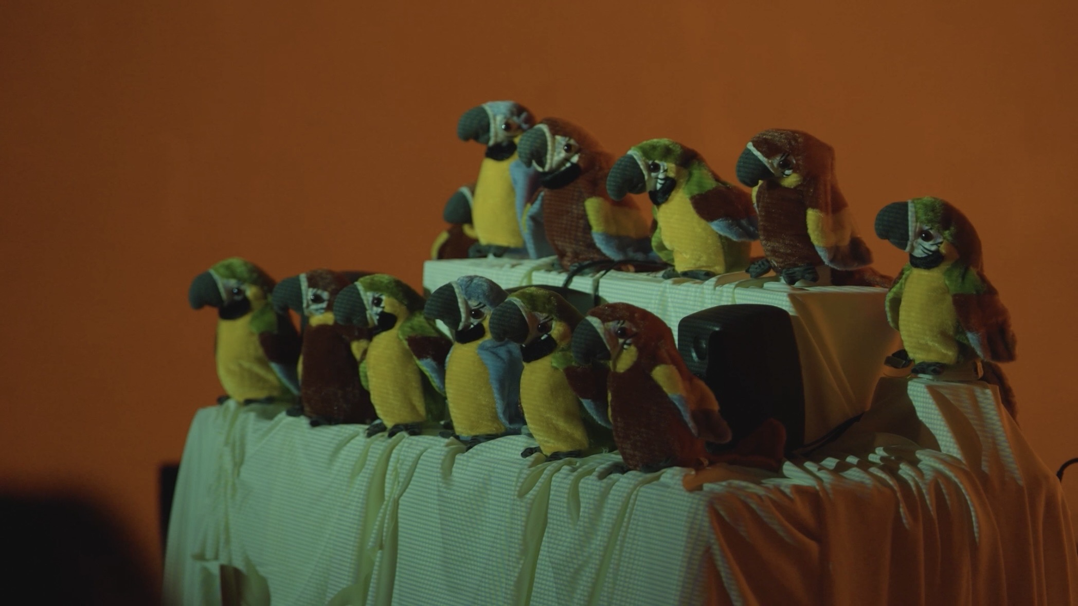 Psittacus Protocol